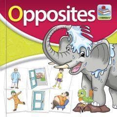 Flash Cards Small - Image 10