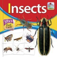 Flash Cards Small - Image 8