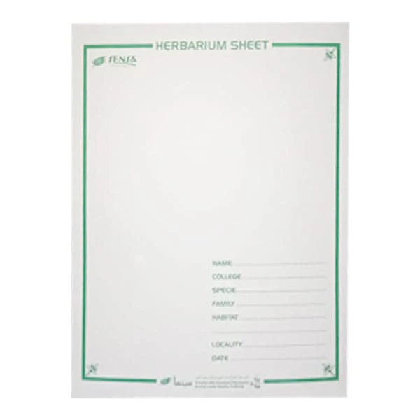 Herbarium Sheet Pack of 10