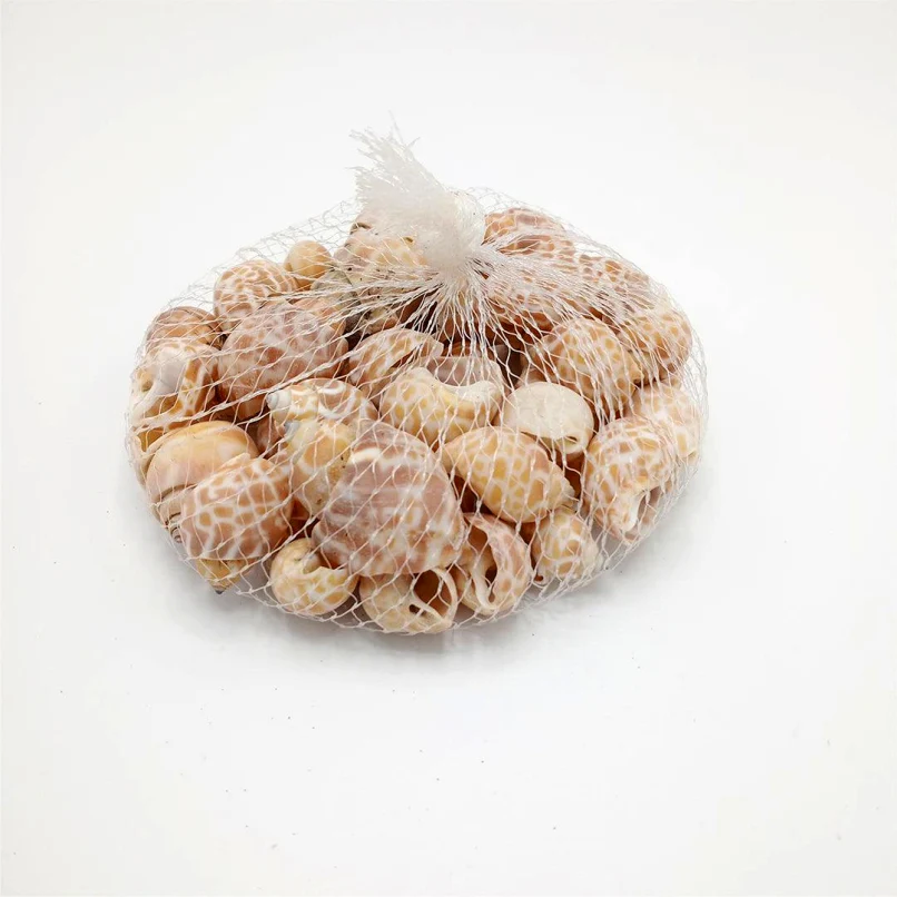 Sea Shells Large Net Pouch - Off White - China - Image 2