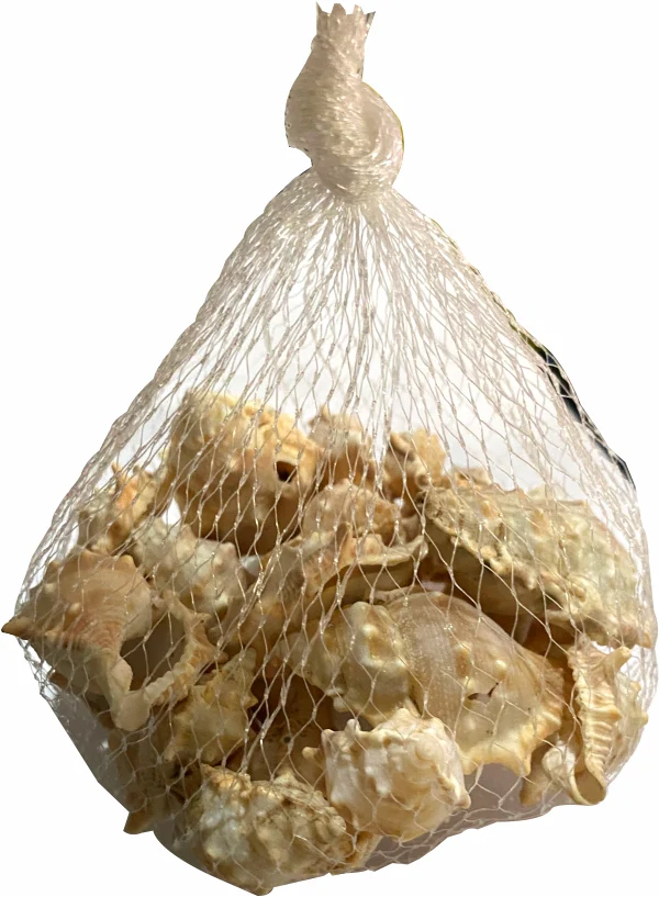 Sea Shells Large Net Pouch - Off White - China - Image 3