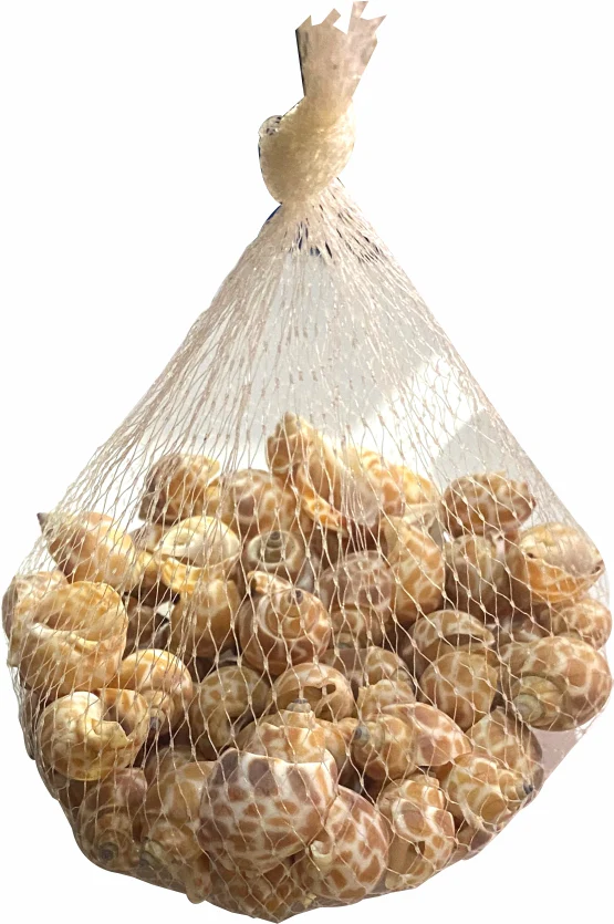 Sea Shells Large Net Pouch - Off White - China - Image 4