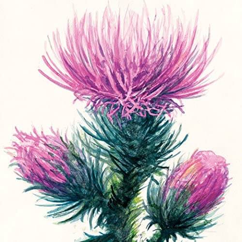 Strathmore Series 400 Watercolor Pad 300 gsm - Image 3